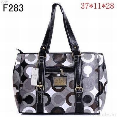 Coach handbags132